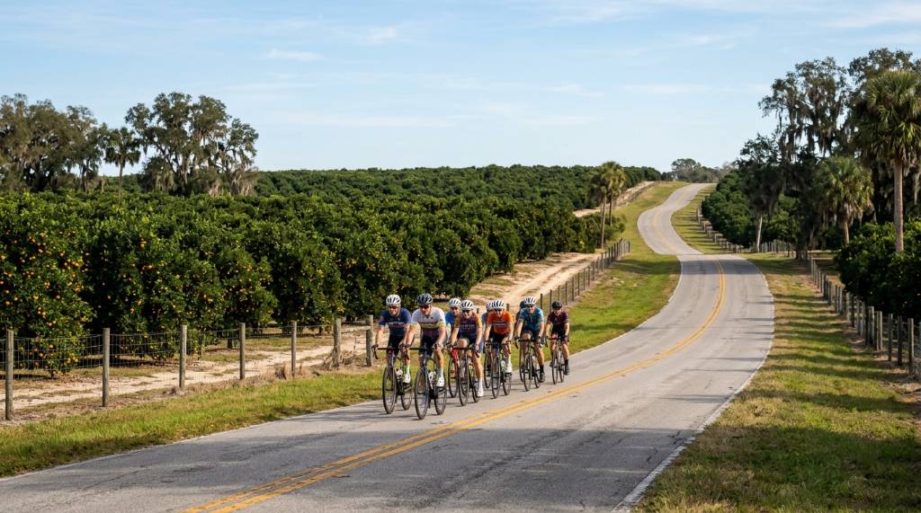 Cyclists riding through orange groves on a rolling road near Dade City